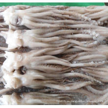 Cabeza de calamar fresca congelada de mariscos naturales de alta calidad